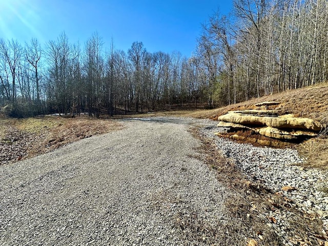 0 Shady Creek Ln, Byrdstown TN, 38549 land for sale