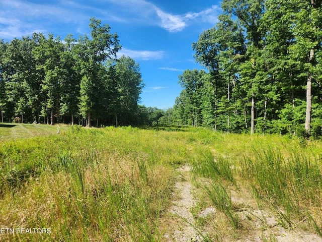 LOT602 Stonecrest Ave, Crossville TN, 38571 land for sale