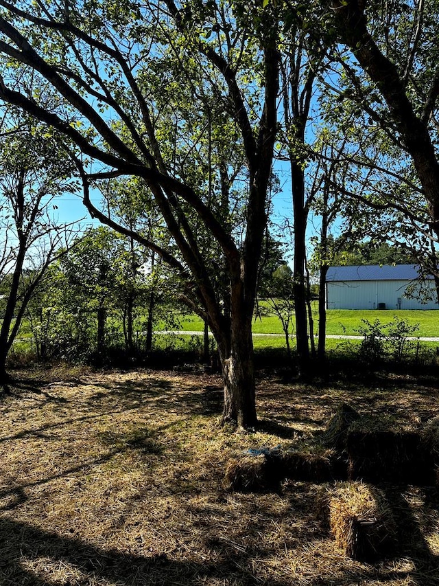 view of local wilderness