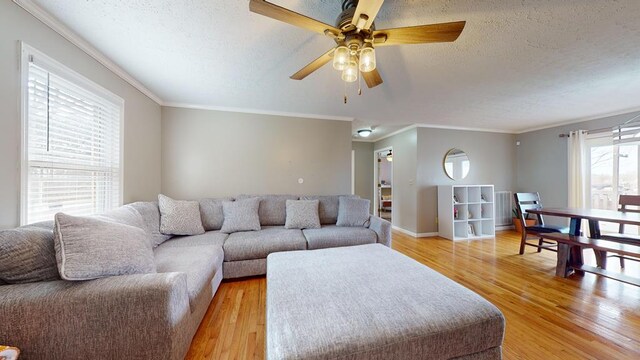 living room with a textured ceiling, light wood-style flooring, a ceiling fan, baseboards, and crown molding