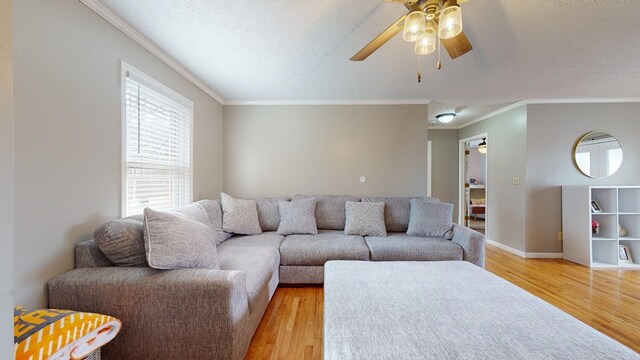 living area with baseboards, light wood-style flooring, ceiling fan, ornamental molding, and a textured ceiling