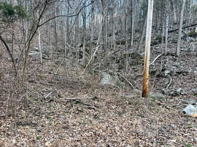 2LOTS Golf Ln, Livingston TN, 38570 land for sale