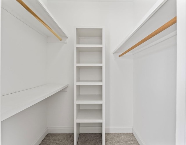 spacious closet featuring light colored carpet