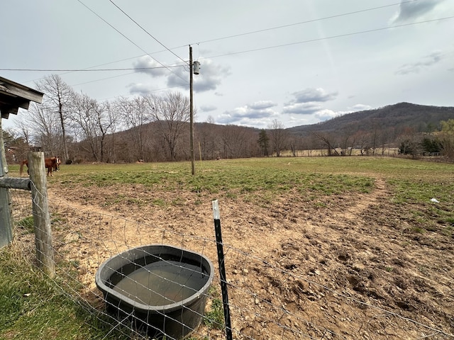 view of yard featuring a rural view and a mountain view