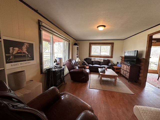 living area featuring crown molding, wood finished floors, a wealth of natural light, and a textured ceiling