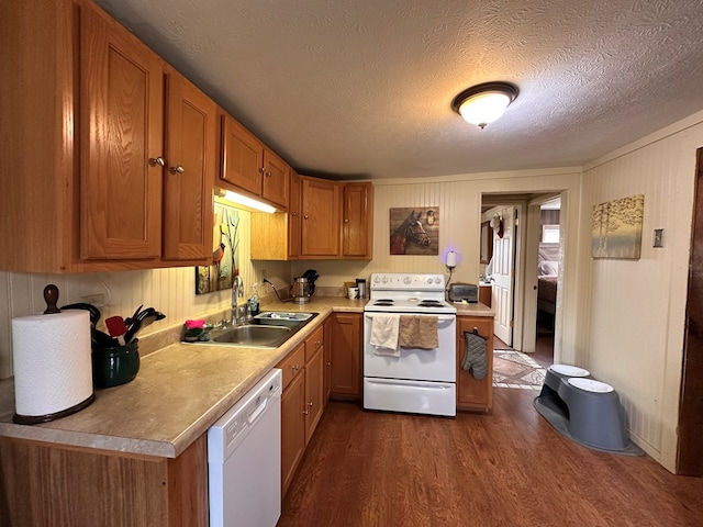 kitchen featuring a sink, light countertops, brown cabinetry, white appliances, and dark wood-style flooring