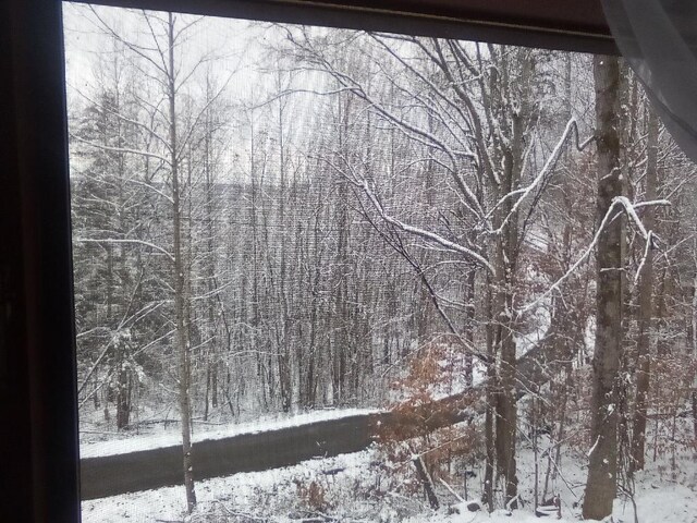 view of snowy landscape