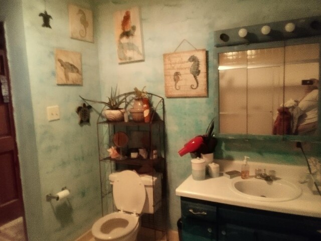 bathroom with toilet and vanity