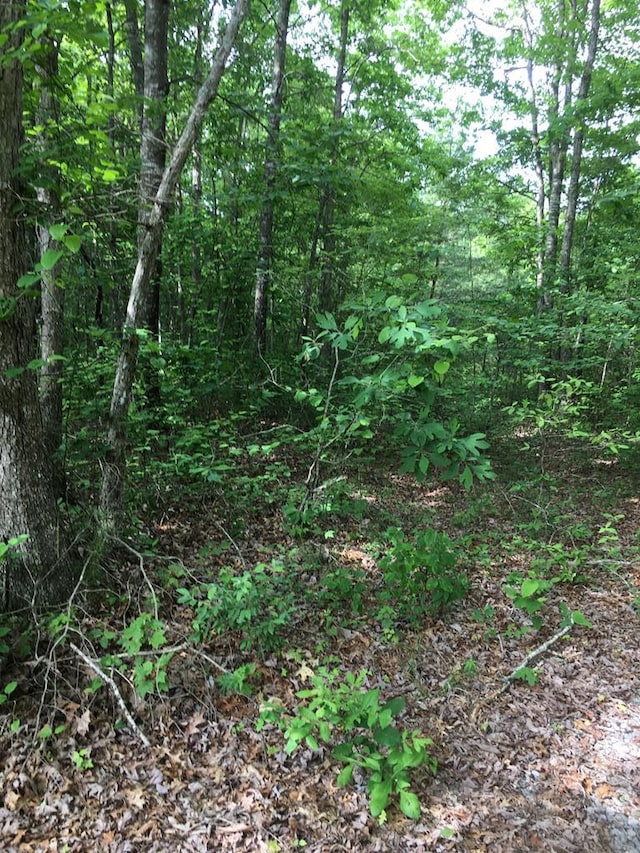 Listing photo 3 for LOT48 Buckeye Ln, Wilder TN 38589