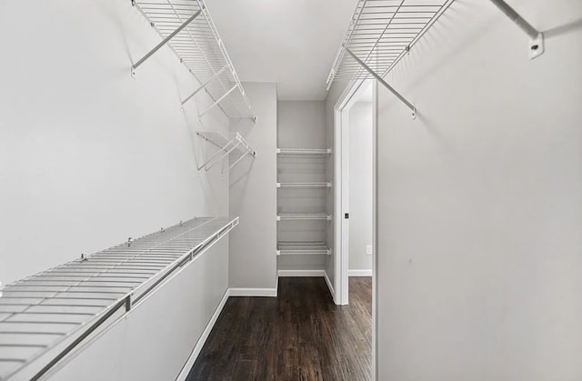 spacious closet with dark wood-style floors