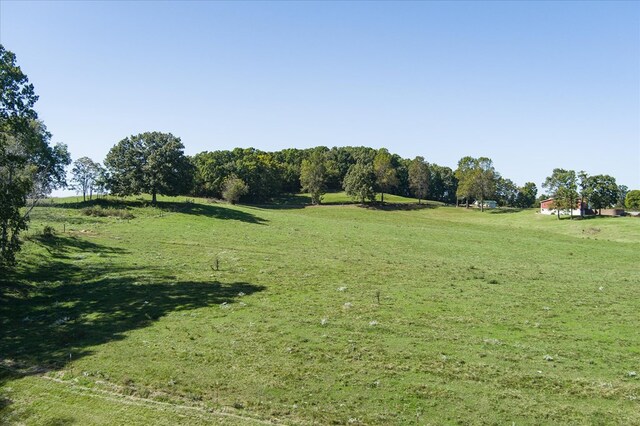 view of yard with a rural view