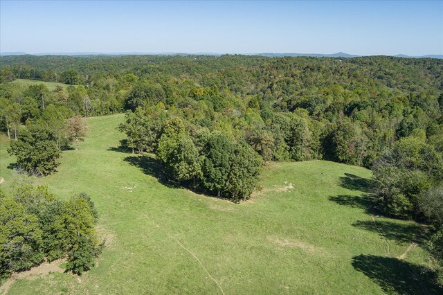 drone / aerial view with a forest view