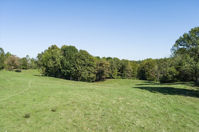 view of yard with a forest view