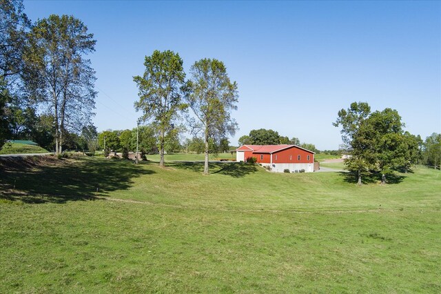 view of yard with a rural view and driveway