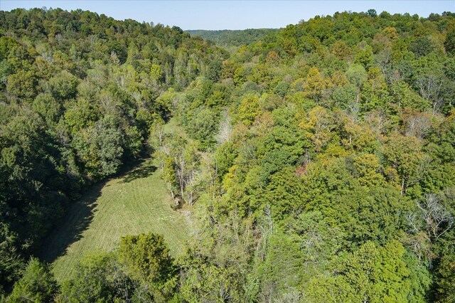 bird's eye view featuring a wooded view