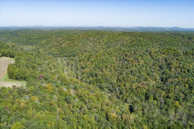 aerial view with a wooded view