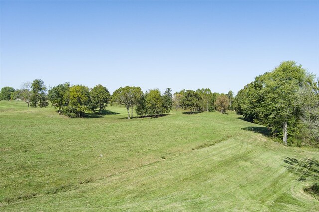 view of yard featuring a rural view