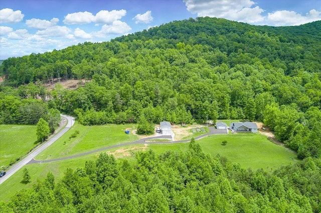 bird's eye view with a forest view