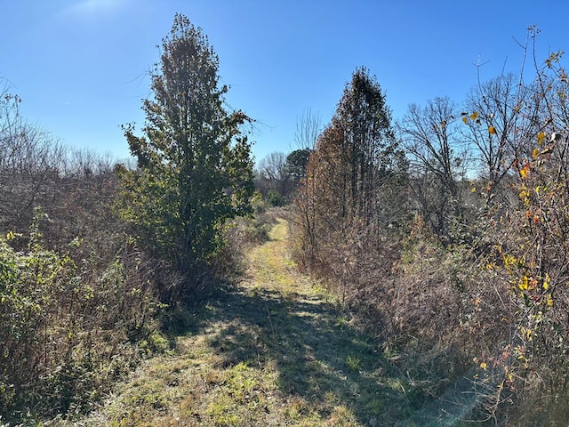 7ACRES Holt Spur Dr, Jamestown TN, 38556 land for sale