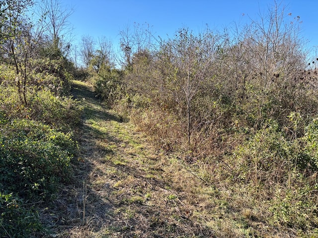 Listing photo 3 for 7ACRES Holt Spur Dr, Jamestown TN 38556