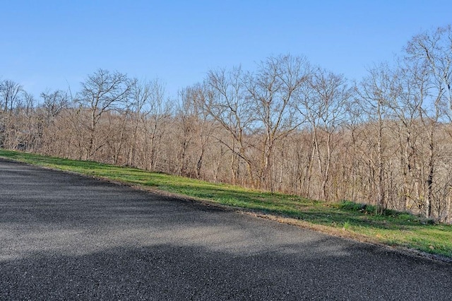 0 Williamson Cir, Smithville TN, 37166 land for sale