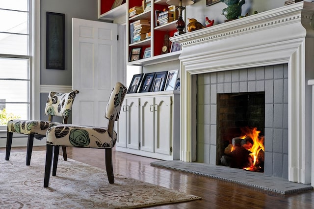 details featuring a lit fireplace and wood finished floors