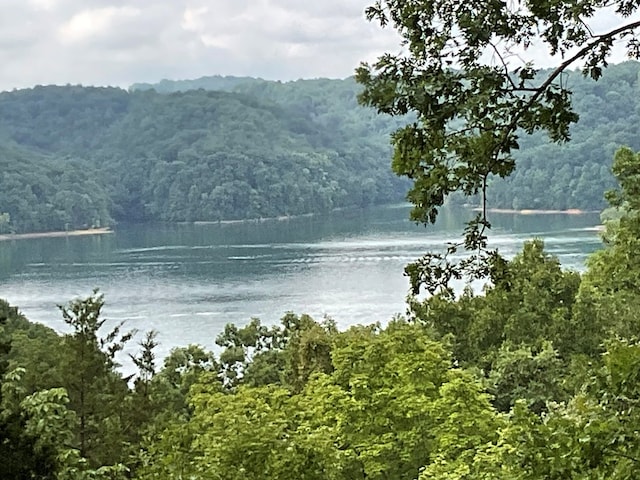 property view of water with a mountain view and a wooded view