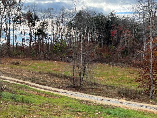 view of local wilderness