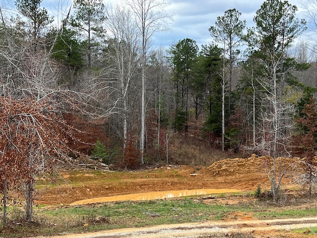 view of local wilderness