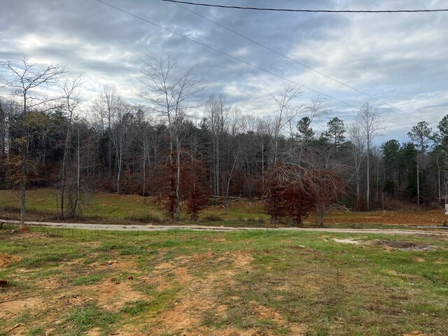 view of yard featuring a wooded view