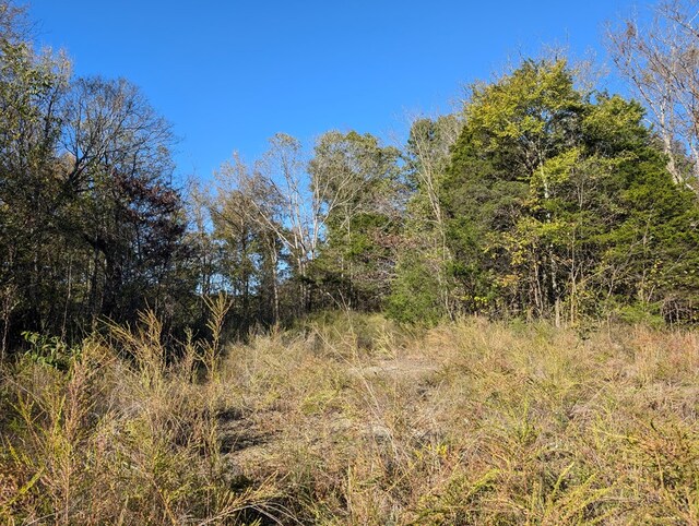 view of local wilderness