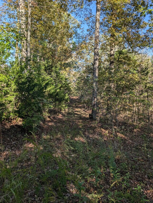 view of local wilderness with a wooded view