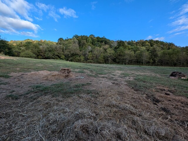 view of landscape with a view of trees and a rural view