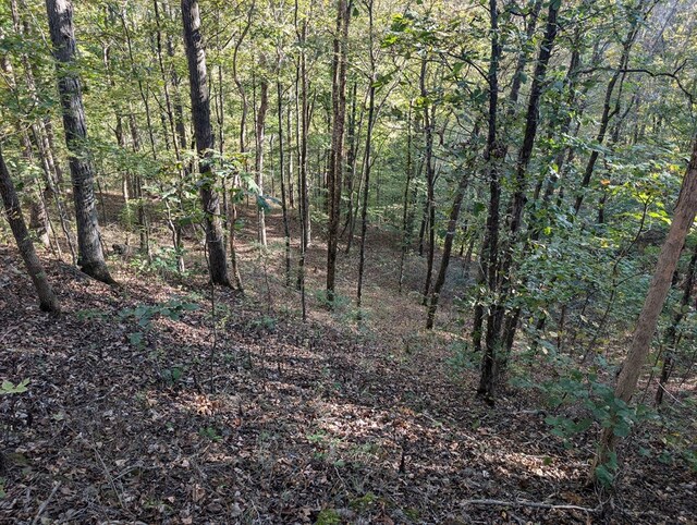 view of local wilderness with a forest view