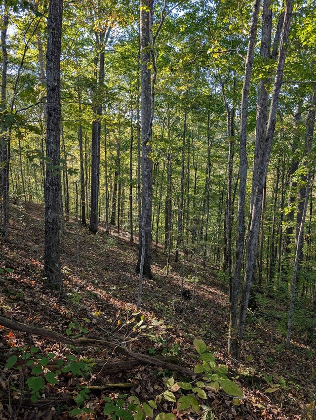 view of landscape with a forest view