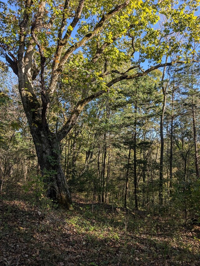 view of landscape featuring a wooded view