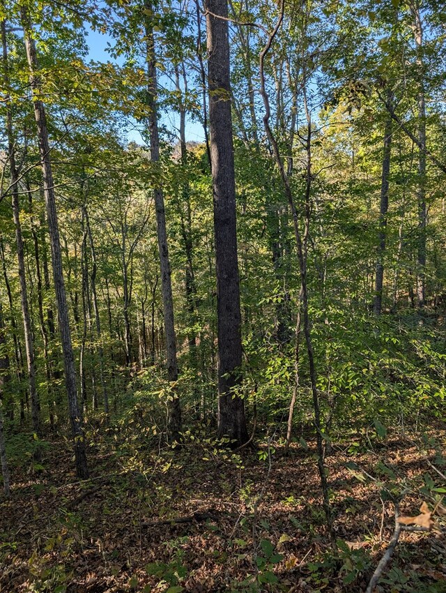 view of nature featuring a forest view