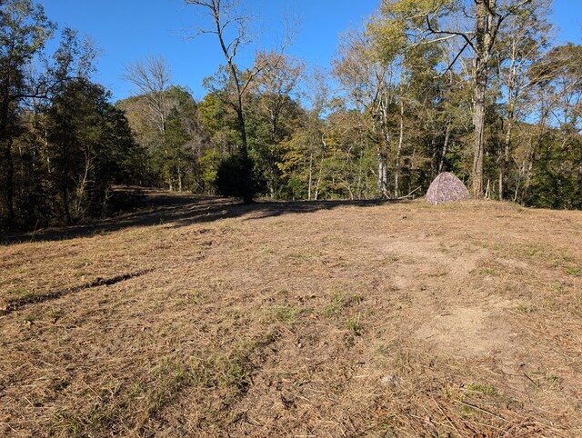 view of yard featuring a view of trees