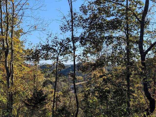 property view of water with a view of trees