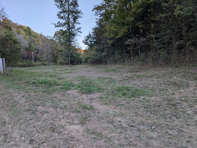 view of yard with a view of trees