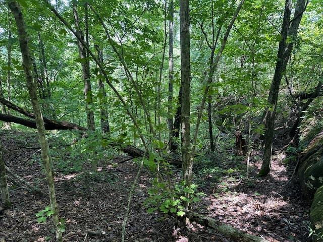 Listing photo 3 for LOT89 Bobcat Ln, Wilder TN 38589