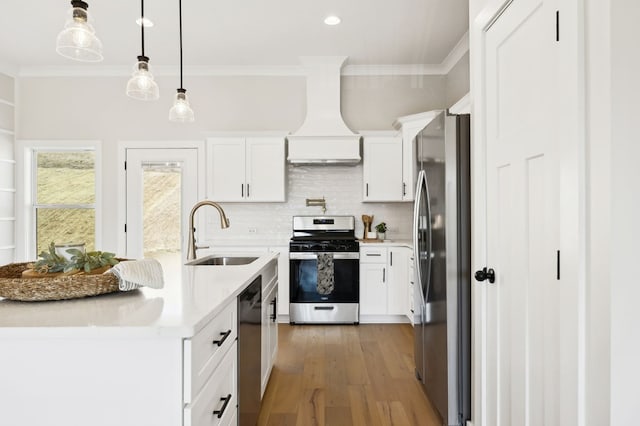 kitchen featuring a sink, stainless steel appliances, crown molding, and premium range hood