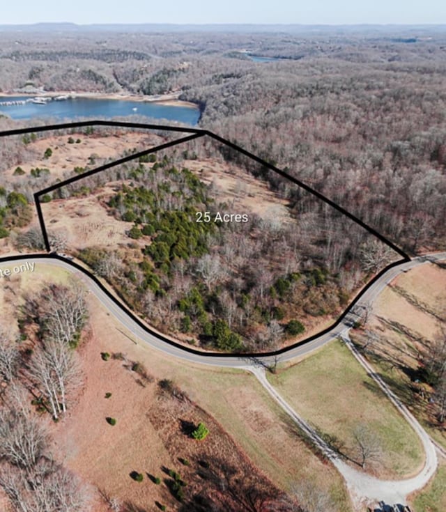 Listing photo 2 for 25AC Lillydale Rd, Byrdstown TN 38549