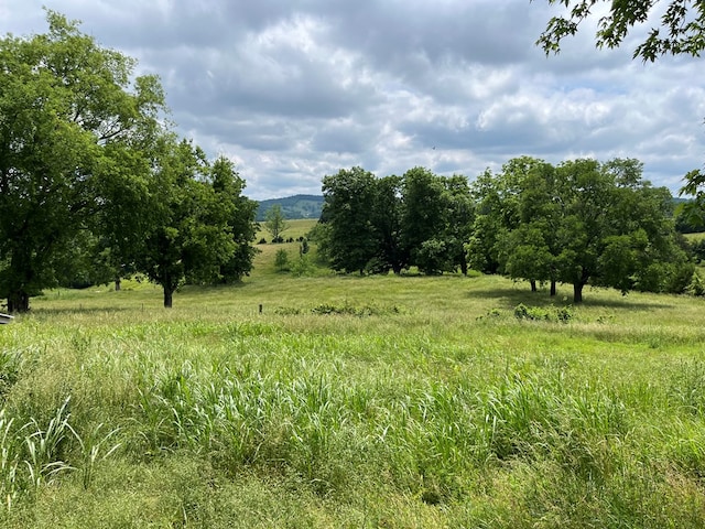 view of nature featuring a rural view