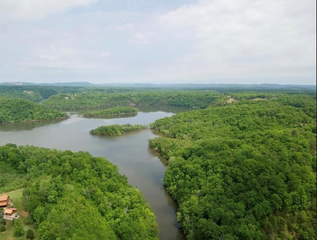 LOT21 Holly Bend Dr, Byrdstown TN, 38549 land for sale