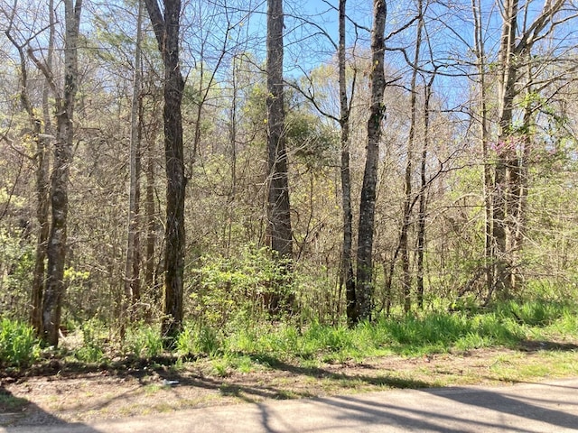 Listing photo 3 for 0 Mack Floyd Rd, Sparta TN 38583