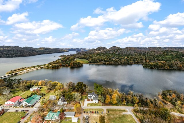 aerial view with a water view and a view of trees