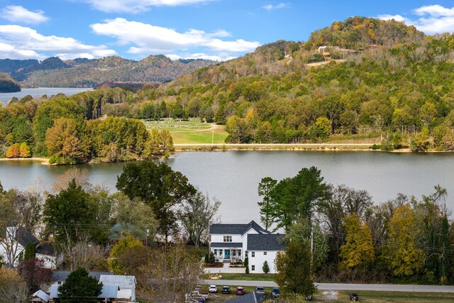 property view of water with a mountain view and a view of trees