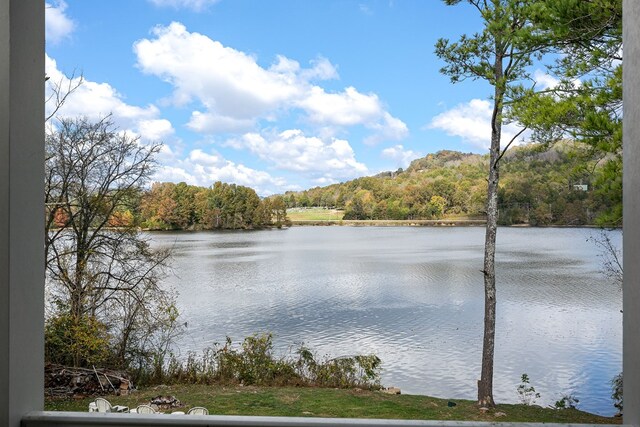 view of water feature featuring a view of trees