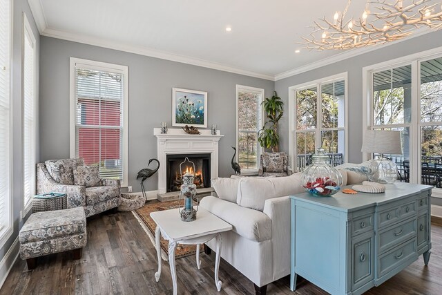 sitting room with a warm lit fireplace, ornamental molding, a chandelier, and dark wood-type flooring